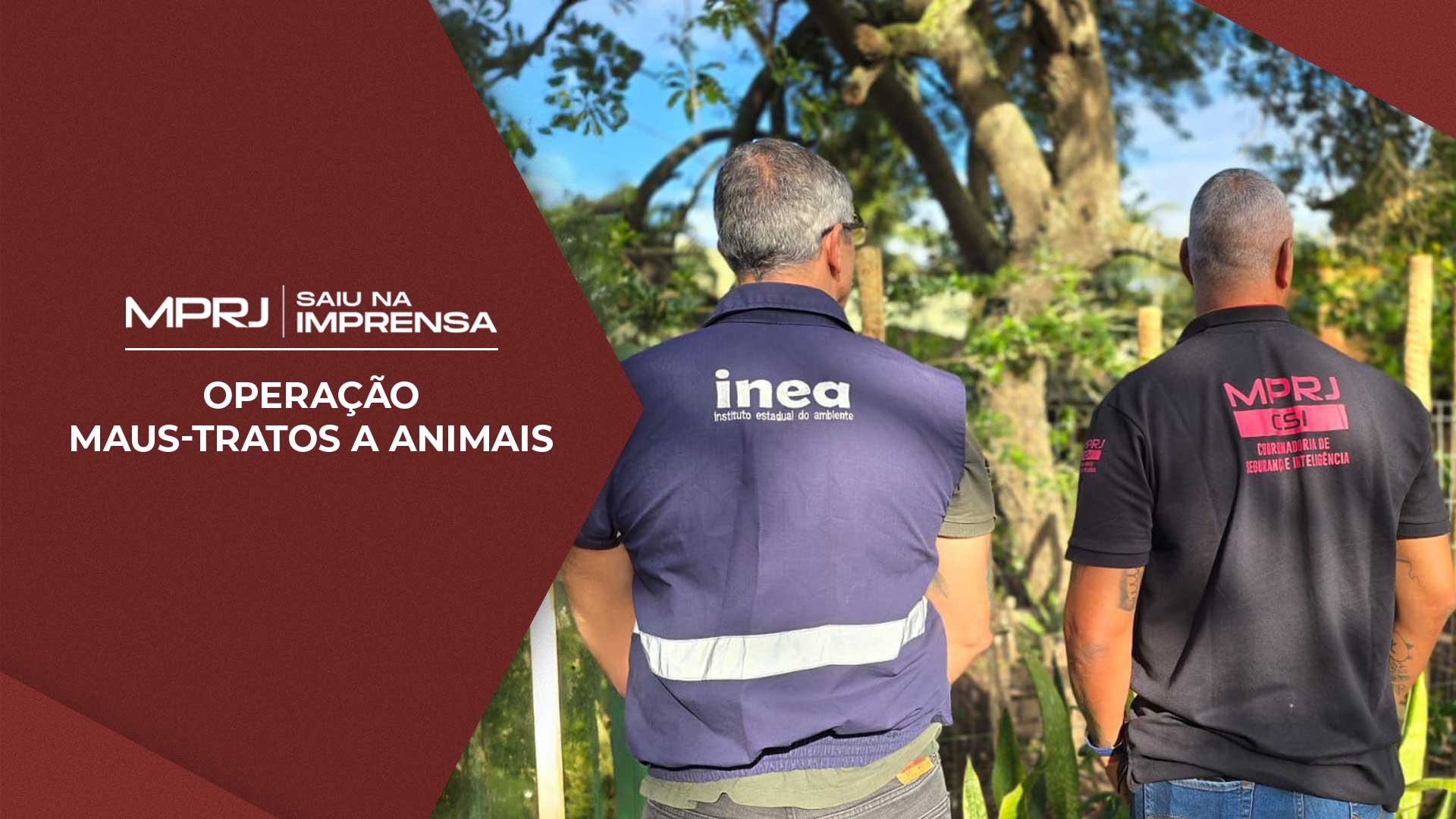 Imagem capa MPRJ realiza operação conjunta em Búzios contra Instituto acusado de maus-tratos a animais